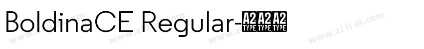 BoldinaCE Regular字体转换